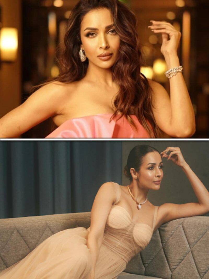 Malaika Arora picks up trash outside her gym; gets trolled for THIS ATG