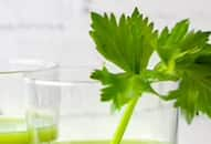 benefits-of-drinking-coriander-water-on-empty-stomach