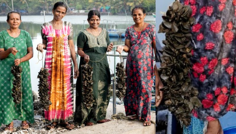 success story of Kerala Mussels cultivation by Kudumbashree women s  