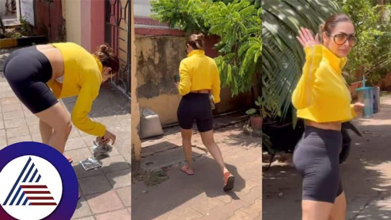 Malaika Arora Picks Up Litter Thrown Outside Her Gym Video Leaves Netizens Divided suc