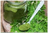 5 Incredible Benefits of the Superfood Moringa RTM 