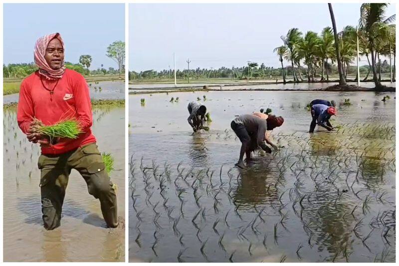 North Indian youngsters did cultivation work at mayiladuthurai with sing a hindi song vel