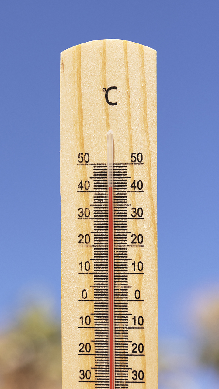 7 food to cool down body temperature in summer