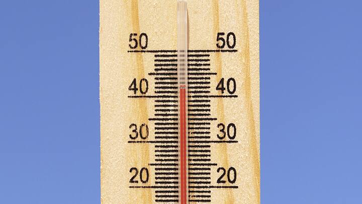 7 food to cool down body temperature in summer