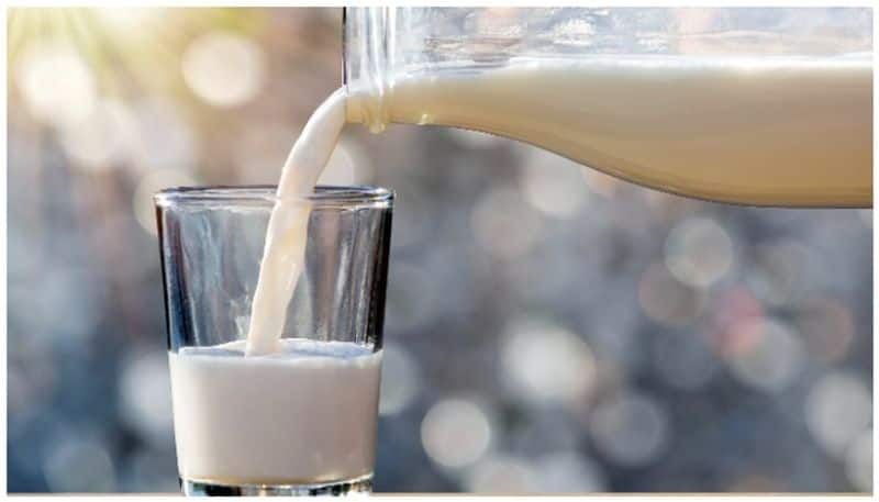 world milk day 2024 benefits of milk 