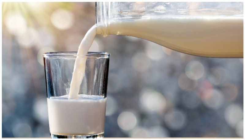 world milk day 2024 benefits of milk 