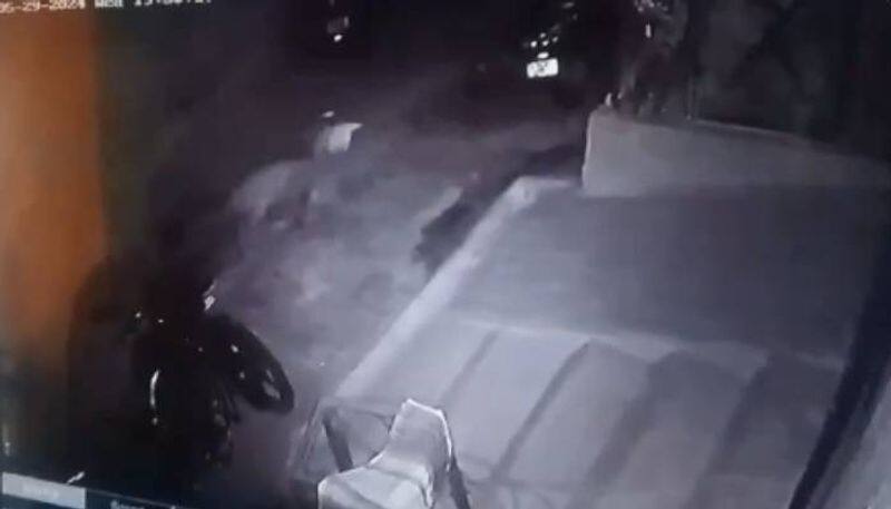 Leopard jumps 10 ft long wall kill a hen captured on cctv video 