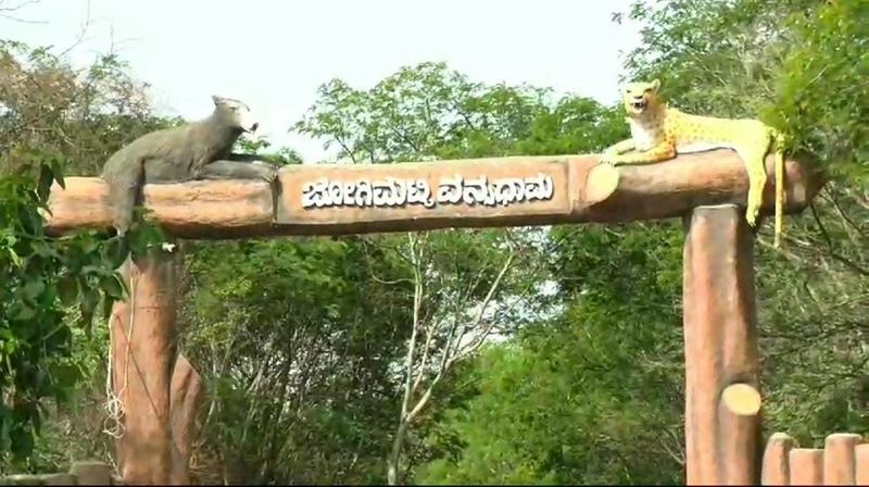 Mini Ooty Jogimatti hill station in Karnataka is flocked by tourists for re opening gvd