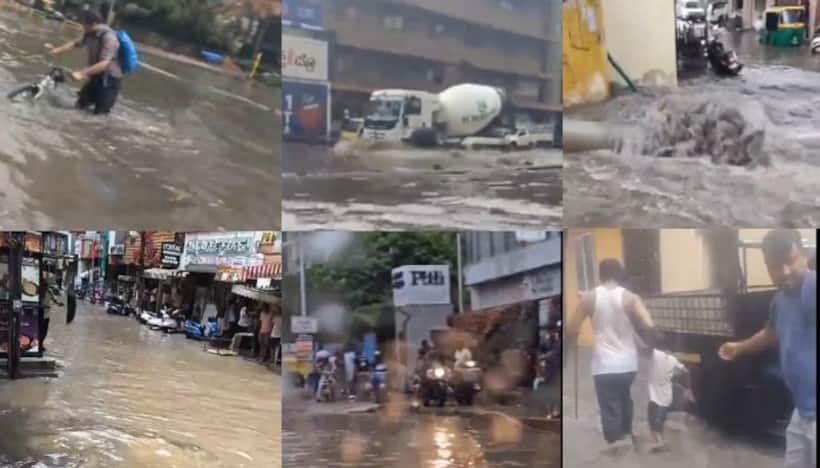 Bengaluru rains: Netizens react as trees topple, roads become swimming pools; BBMP clears blockages (WATCH)