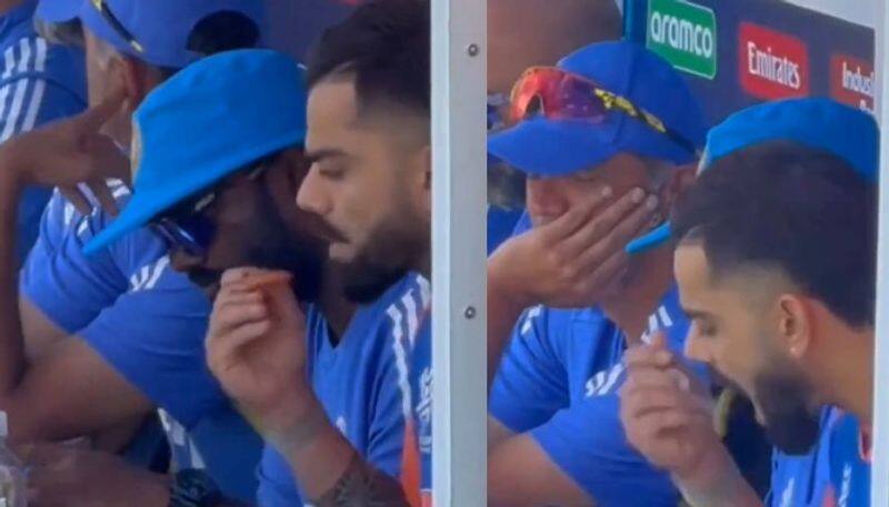 T20 World Cup 2024: Virat Kohli gorges on food in dugout amidst 'Kohli, Kohli' chants; videos go viral (WATCH) vkp