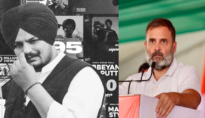 Rahul Gandhi reveals India Alliance Number of seat in Lok sabha Election with Sidhu moose wala 295 song ckm