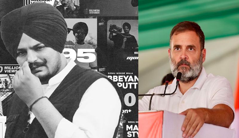 Rahul Gandhi reveals India Alliance Number of seat in Lok sabha Election with Sidhu moose wala 295 song ckm