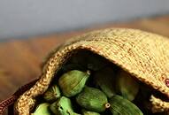 How to Grow Cardamom at Home iwh