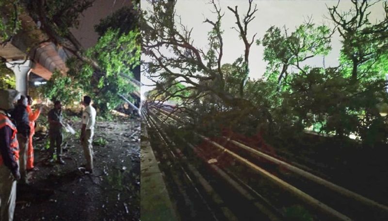 Bengaluru: Metro trains suspended between Indiranagar & MG Road due to fallen tree branch on viaduct vkp