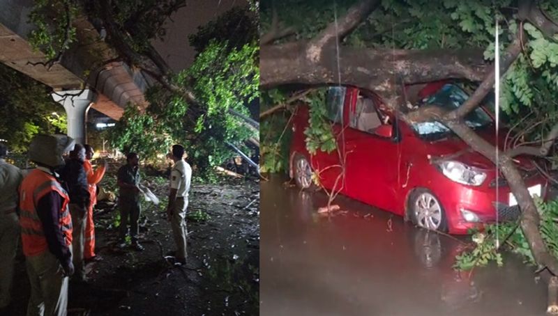 Bengaluru heavy Rains Trees uprooted to metro track neat MG Road train service halt ckm