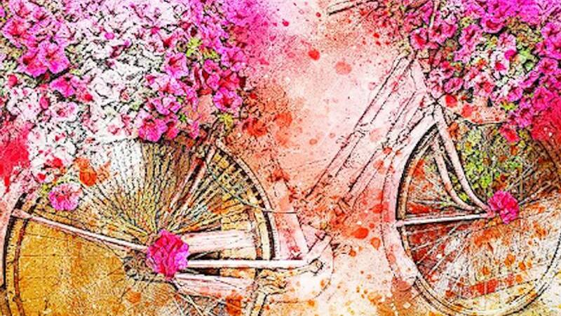 Bicycle Day 2024
