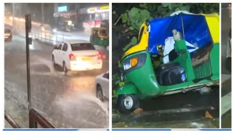 trees fell down in Bengaluru due to rain nbn