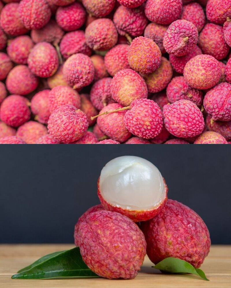 7 reasons litchi can be your summer weight loss fruit RKK