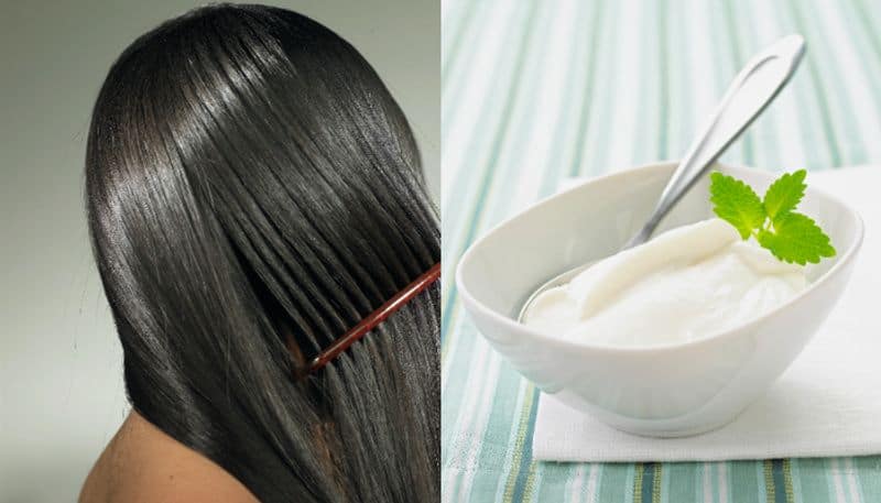 Can you use yogurt for hair? What are the health benefits ram 