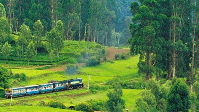 जून की गर्मी को कहे बाय, समर वेकेशन में एक्सप्लोर करें भारत के 4 Hill Station
