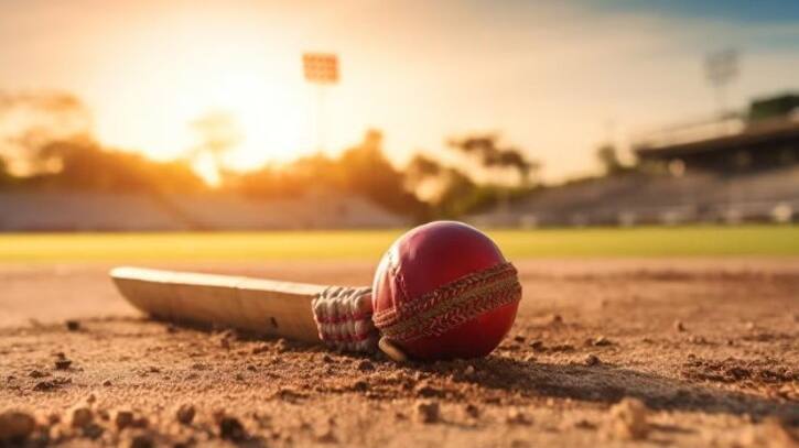 cricket .jpg