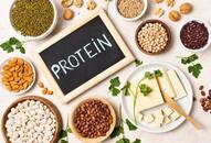 Best Sources of Protein for Vegans and Vegetarians iwh