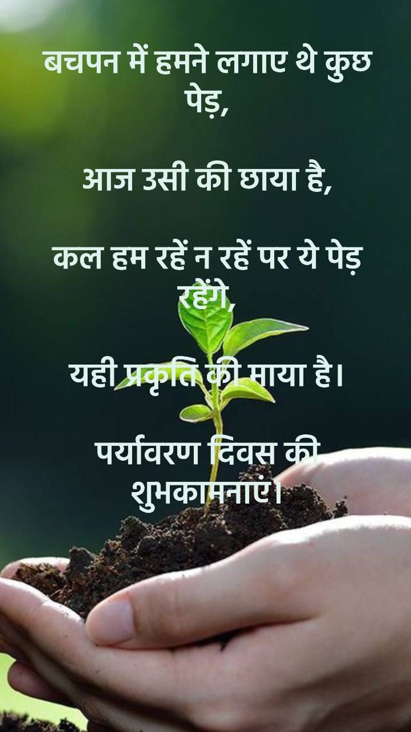 पर्यावरण दिवस में लगाएं पेड़