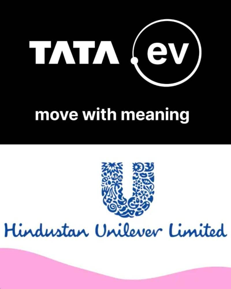 Tata to HUL: 6 Indian companies saving Earth with sustainable products RKK