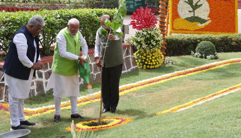 World Environment Day: PM Modi lauds India's increased forest cover, urges people to make 'planet better' anr