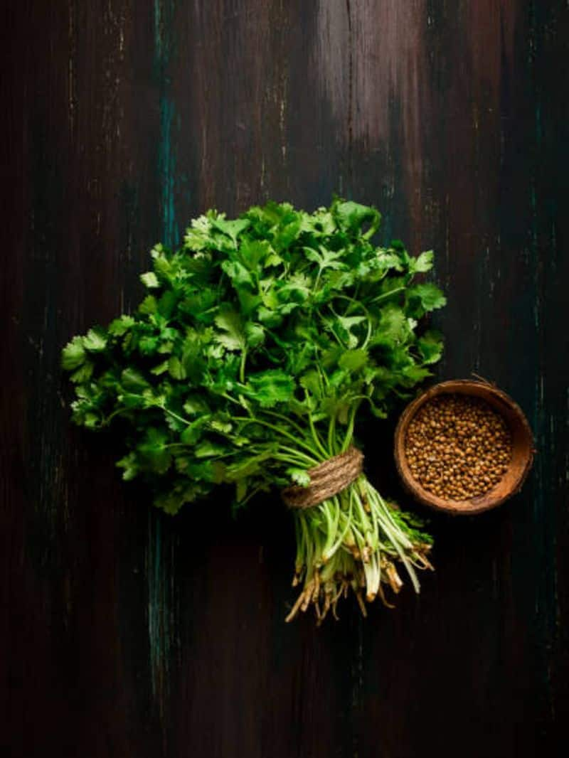  5 Tips for Keeping Coriander Fresh Longer NTI