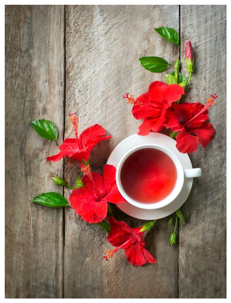 Health Benefits of Hibiscus Tea in tamil Rya