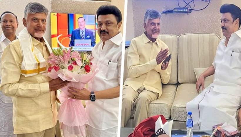 Chandrababu Naidu, MK Stalin meet at Delhi airport after INDIA bloc, NDA meetings; See PHOTOS