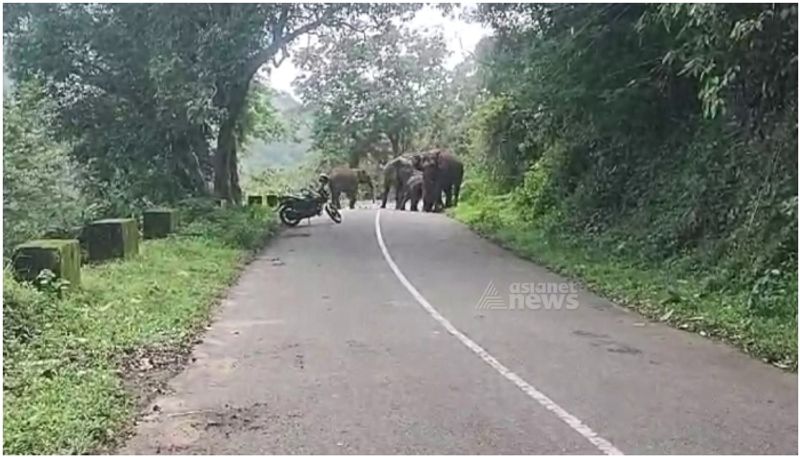 Human-animal conflict in Kerala's Wayanad: Solutions elude as toll mounts anr