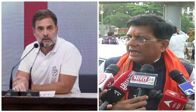 Piyush Goyal says rahul gandhi disappointed in election defeat 