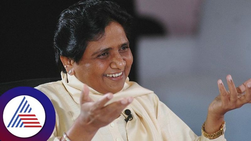 Lok sabha election result 2024 highlights Mayawati is the reason BJP led NDA came to power rav