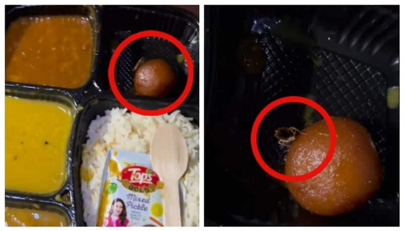 video of a living cockroach at indian railways veg thali goes viral in social media