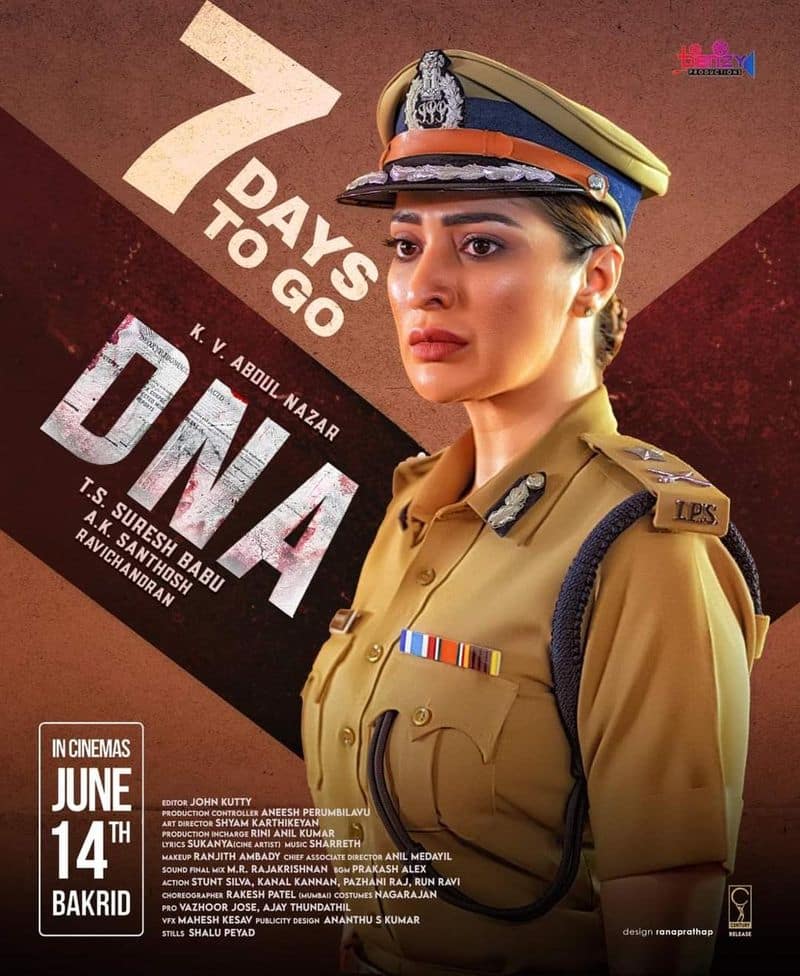 actress rai lakshmi movie dna review 