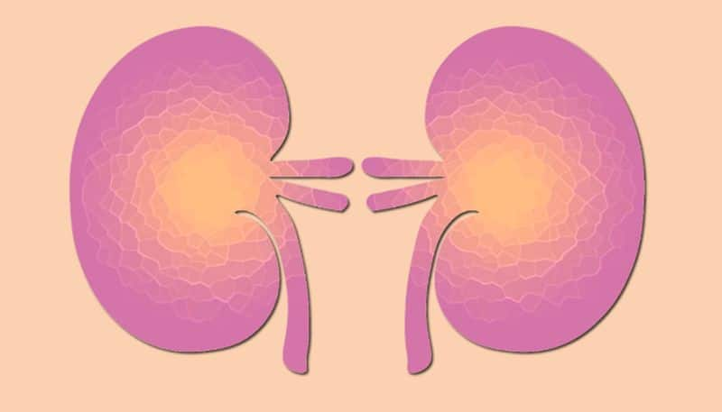 tips to keep your kidney healthy