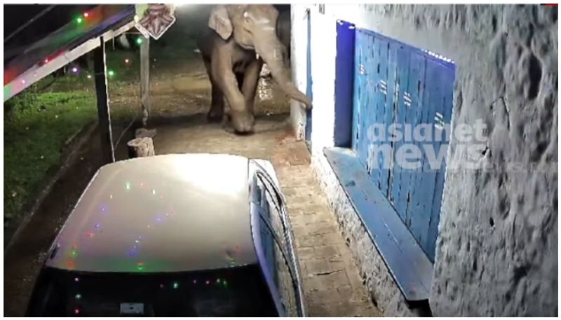 Again wild elephant attacked shop in idukki munnar