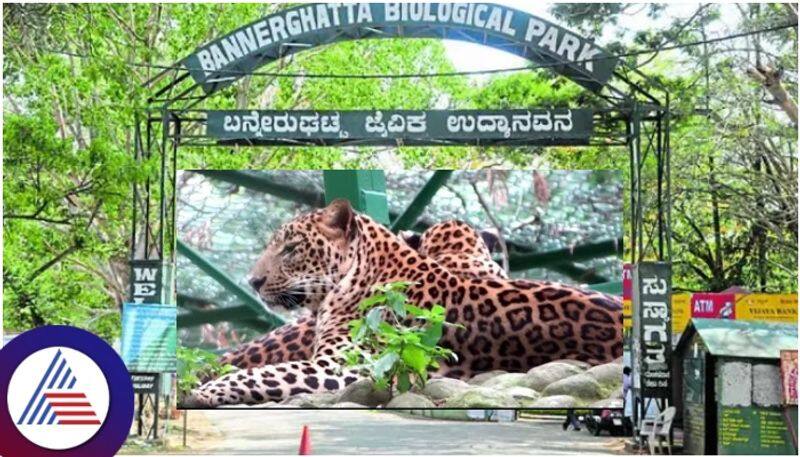 Bannerghatta National Park Leopard Safari and Mysore fisheries approves from Eshwar Khandre sat