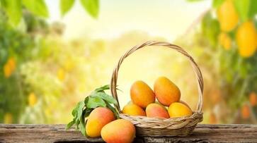 Mango Health benefits zkamn