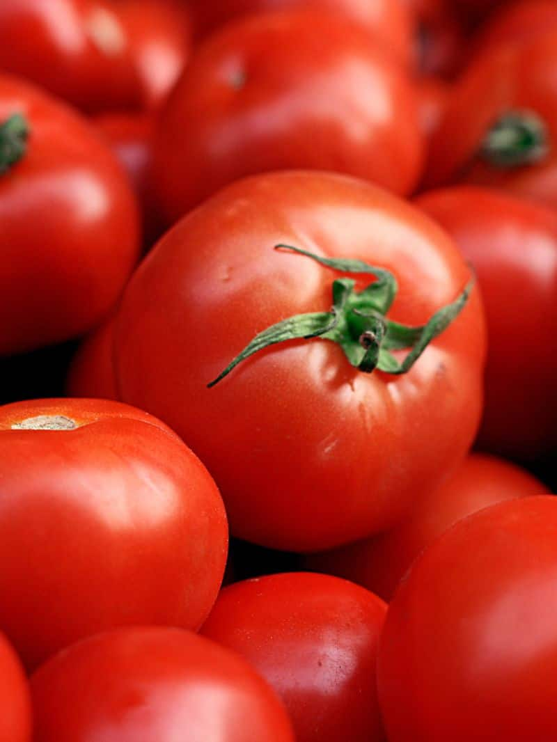 Tomato returns to gold price: bumper for farmers snr