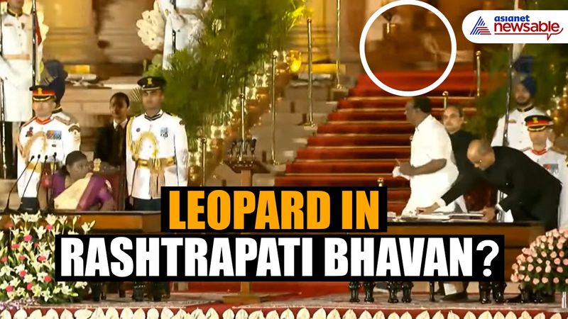 Leopard at Modi 3.0 cabinet oath-taking ceremony? Mysterious animal spotted in viral video (WATCH) anr