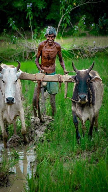 हर महीने मिलेंगे 3 हजार, बस किसान कर लें ये जरूरी काम