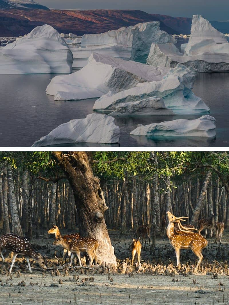 Sundarbans to Kahurangi: 7 largest National Parks in the World ATG