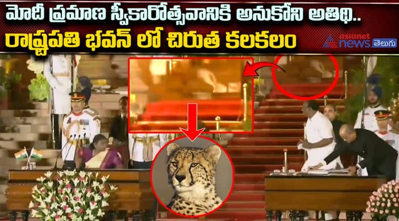 An animal was seen strolling back in the Rashtrapati Bhavan