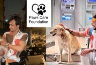 Co-founder Manish Chaurasia and Ansh Mishra Lead Efforts to Assist Stray Dogs During First June Rain at Paws Care Foundation