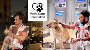 Co-founder Manish Chaurasia and Ansh Mishra Lead Efforts to Assist Stray Dogs During First June Rain at Paws Care Foundation