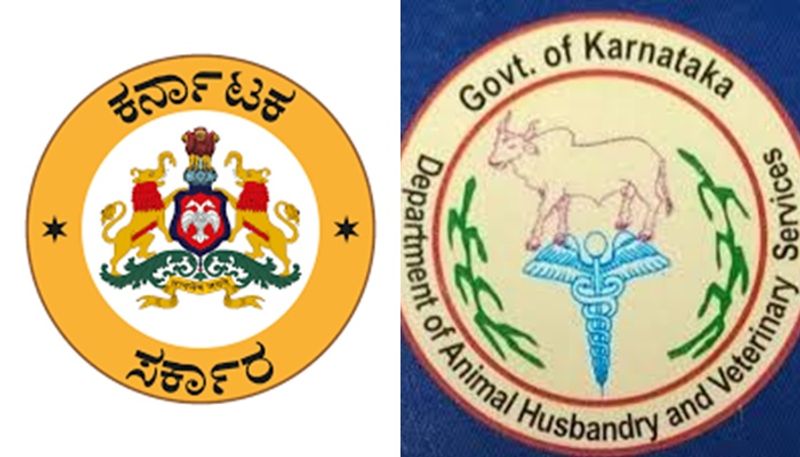 Animal Husbandry Veterinary Services AVHS 400 veterinary officer Posts recruitment san