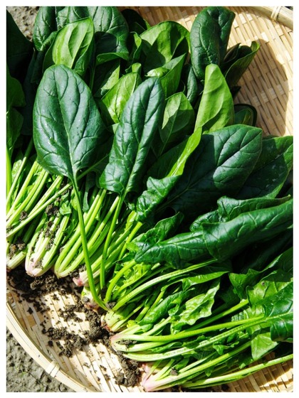 Spinach